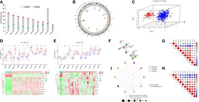 Comprehensive of N1-Methyladenosine Modifications Patterns and Immunological Characteristics in Ovarian Cancer